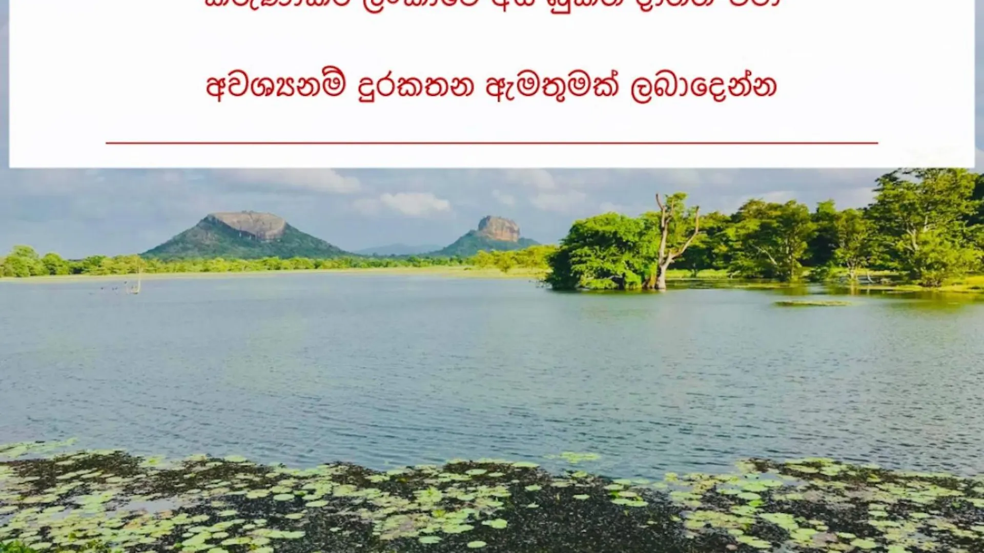 ** Guest house Wooden Cabana Sigiriya Sri Lanka